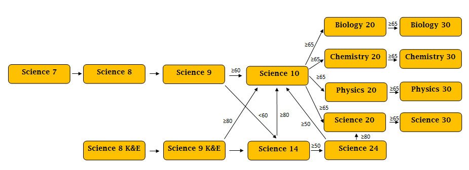 Science Pathway flowchart